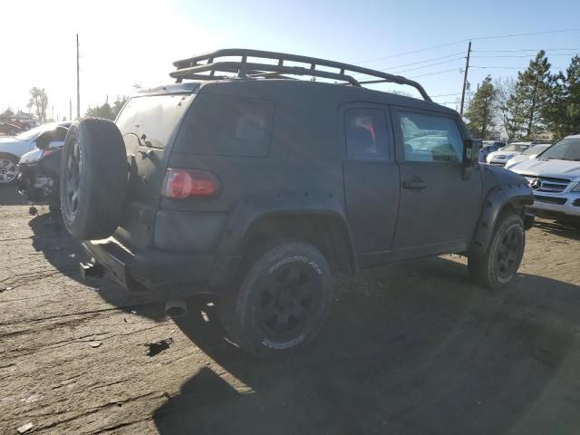 2007 Toyota FJ Cruiser