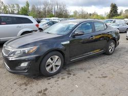 Salvage cars for sale at Portland, OR auction: 2015 KIA Optima Hybrid