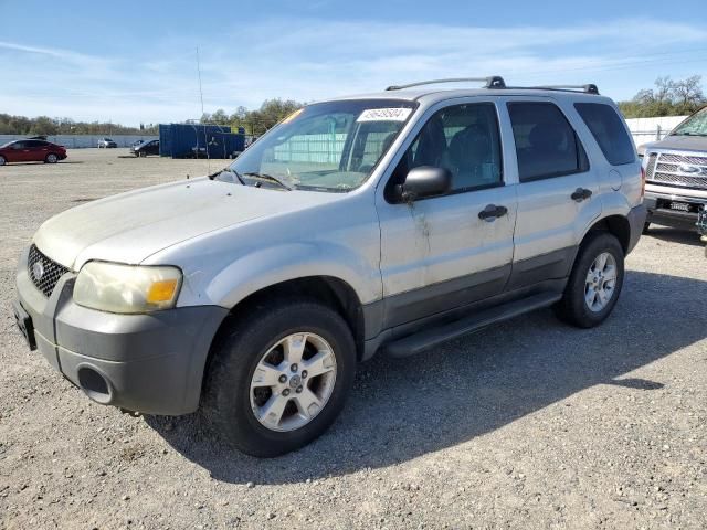 2005 Ford Escape XLT