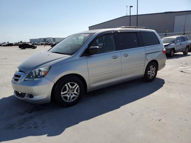 2005 Honda Odyssey EXL