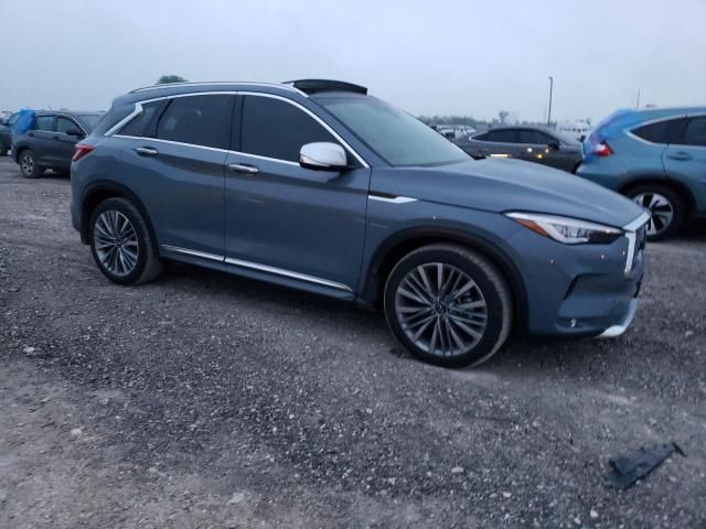 2023 Infiniti QX50 Sensory