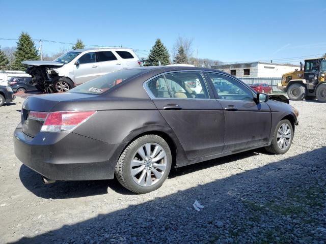 2011 Honda Accord EX