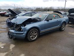 Salvage cars for sale at Louisville, KY auction: 2005 Ford Mustang