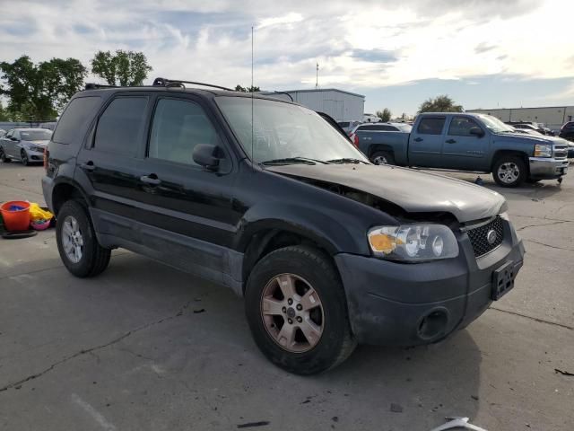 2006 Ford Escape XLT