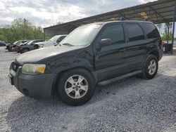 Ford Escape xlt salvage cars for sale: 2006 Ford Escape XLT