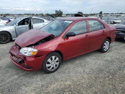 Salvage cars for sale at Antelope, CA auction: 2008 Toyota Corolla CE