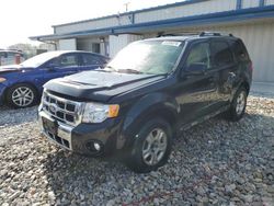 Salvage cars for sale at Wayland, MI auction: 2011 Ford Escape Limited