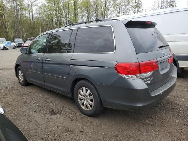 2008 Honda Odyssey EXL