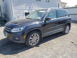 Salvage cars for sale from Copart York Haven, PA: 2016 Volkswagen Tiguan S
