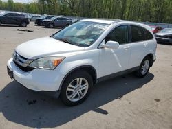 Salvage cars for sale at Glassboro, NJ auction: 2010 Honda CR-V EXL