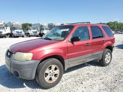 Salvage cars for sale from Copart Ellenwood, GA: 2005 Ford Escape XLT