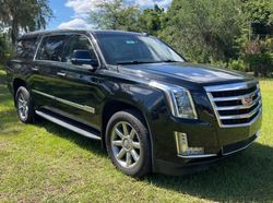 Vehiculos salvage en venta de Copart Ocala, FL: 2017 Cadillac Escalade ESV Premium Luxury