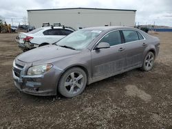 Salvage cars for sale from Copart Rocky View County, AB: 2011 Chevrolet Malibu 2LT