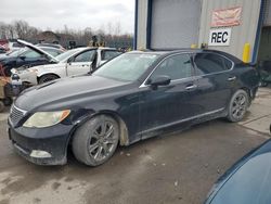 Lexus ls460 Vehiculos salvage en venta: 2009 Lexus LS 460L