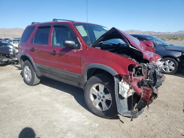 2006 Ford Escape XLT