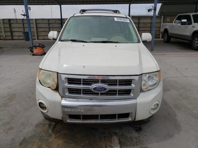 2009 Ford Escape Limited