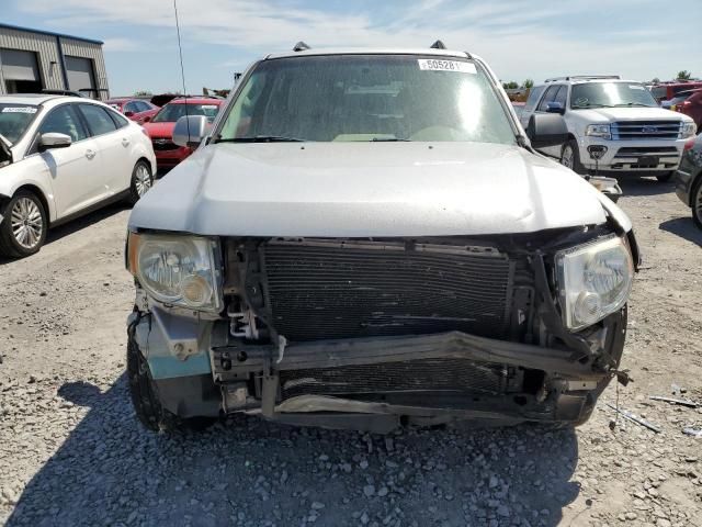 2009 Ford Escape Limited