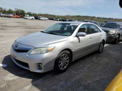 Toyota salvage cars for sale: 2010 Toyota Camry Hybrid