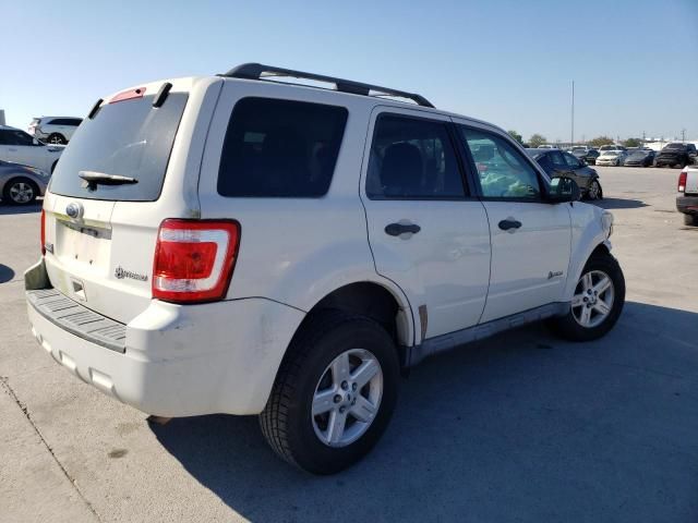 2010 Ford Escape Hybrid