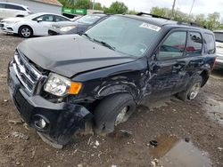 Ford salvage cars for sale: 2008 Ford Escape XLT