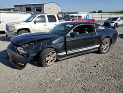 Salvage cars for sale at Earlington, KY auction: 2011 Ford Mustang