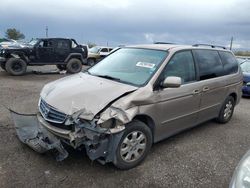 Salvage cars for sale from Copart Tucson, AZ: 2003 Honda Odyssey EX