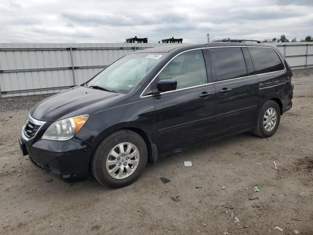 2009 Honda Odyssey EXL