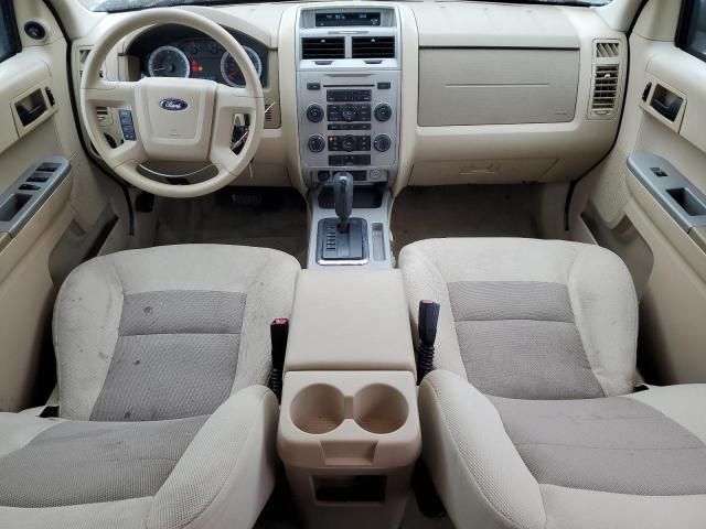 2008 Ford Escape XLT