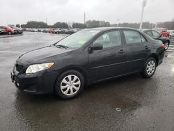 Toyota salvage cars for sale: 2010 Toyota Corolla Base