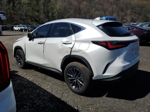 2024 Lexus NX 350 Base