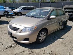 Salvage cars for sale from Copart Waldorf, MD: 2009 Toyota Corolla Base