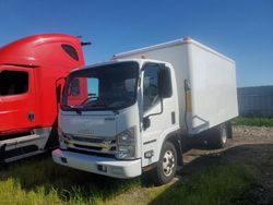 Salvage trucks for sale at Martinez, CA auction: 2015 Isuzu NPR