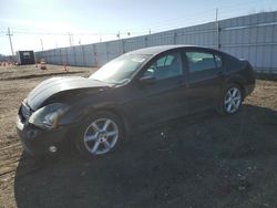 Salvage cars for sale at Greenwood, NE auction: 2006 Nissan Maxima SE