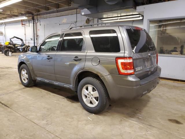 2010 Ford Escape XLT