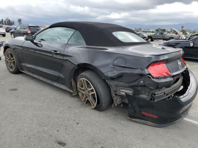 2019 Ford Mustang