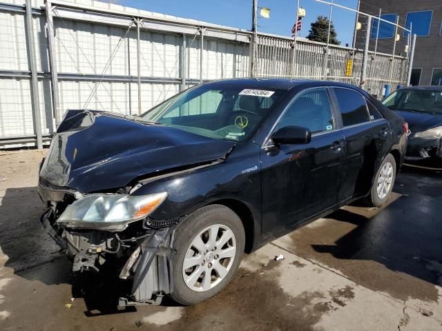 2009 Toyota Camry Hybrid