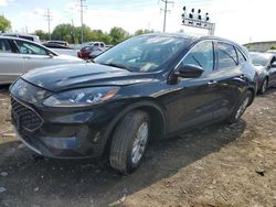 Salvage cars for sale at Columbus, OH auction: 2021 Ford Escape SE