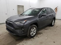 Salvage cars for sale from Copart Madisonville, TN: 2020 Toyota Rav4 XLE