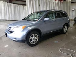 Salvage cars for sale from Copart Albany, NY: 2010 Honda CR-V EXL