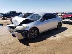 Salvage cars for sale at Amarillo, TX auction: 2009 Honda Accord EXL