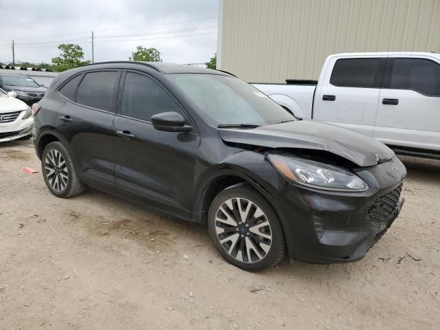 2020 Ford Escape SE Sport