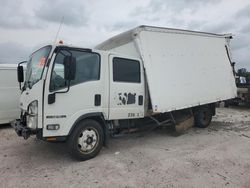 Salvage trucks for sale at Houston, TX auction: 2019 Isuzu NPR HD