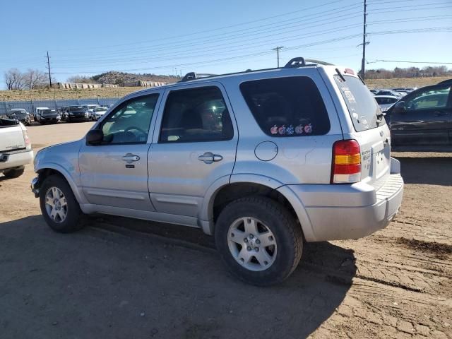 2007 Ford Escape Limited