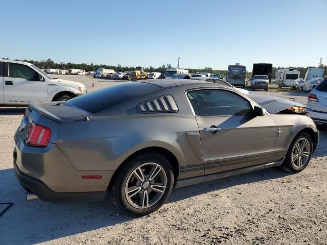 2010 Ford Mustang