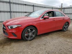 Salvage cars for sale at Mercedes, TX auction: 2019 Mercedes-Benz A 220