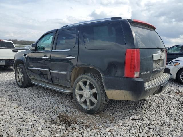 2010 Cadillac Escalade Luxury