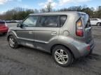 2010 KIA Soul +