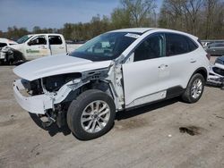 Ford salvage cars for sale: 2021 Ford Escape SE