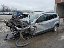 Salvage cars for sale at Fort Wayne, IN auction: 2014 Ford Escape SE