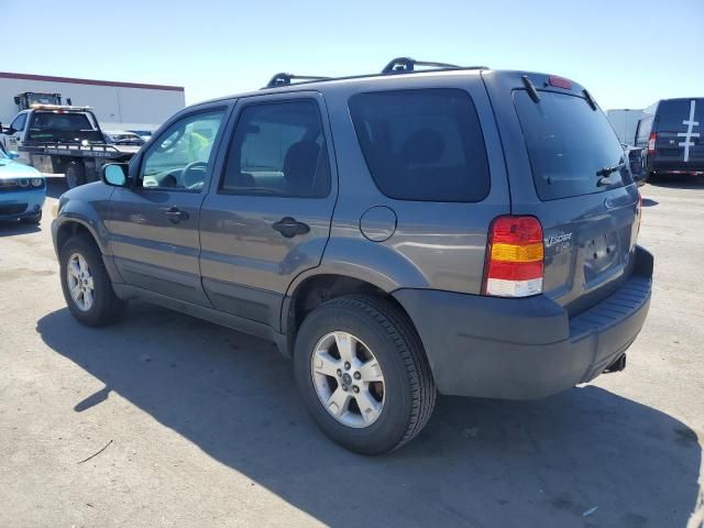 2005 Ford Escape XLT